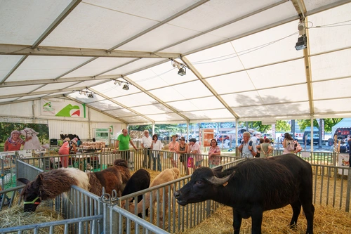 Foire européenne 2023 Bartosch Salmanski