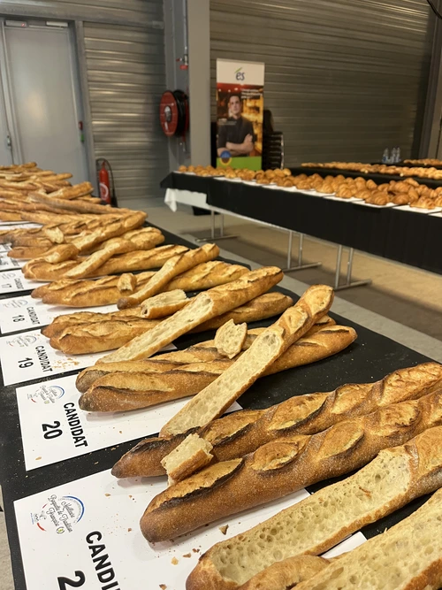 Foire européenne 2025 Strasbourg events